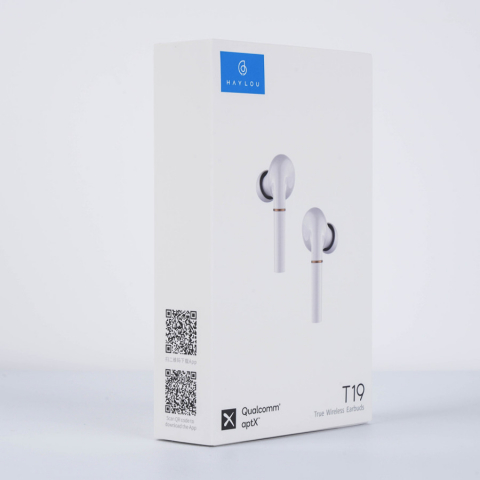 Haylou T19 наушники (белые)